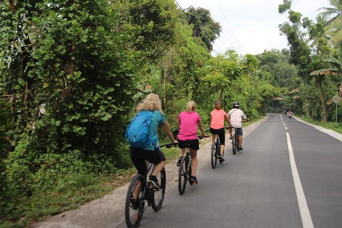 Lombok Easy Biking Tour - Continuing the Ride: Rice Fields, Villages, and Markets