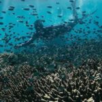 Lombok: exclusive 7 Gilis snorkeling and island hopping - Detailed Breakdown of the Itinerary and What to Expect