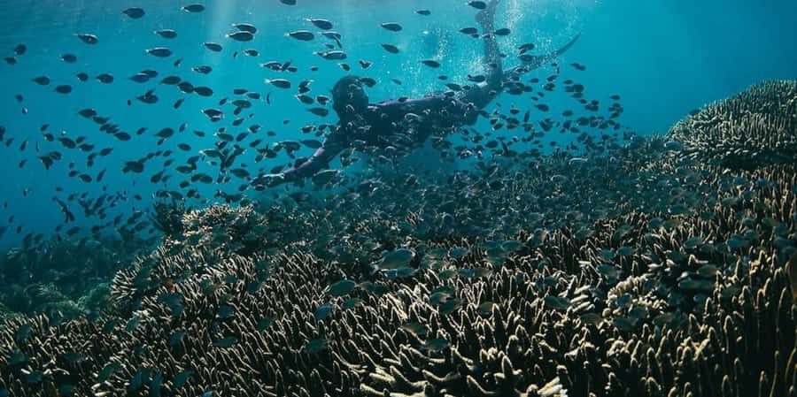 Lombok: exclusive 7 Gilis snorkeling and island hopping - Detailed Breakdown of the Itinerary and What to Expect