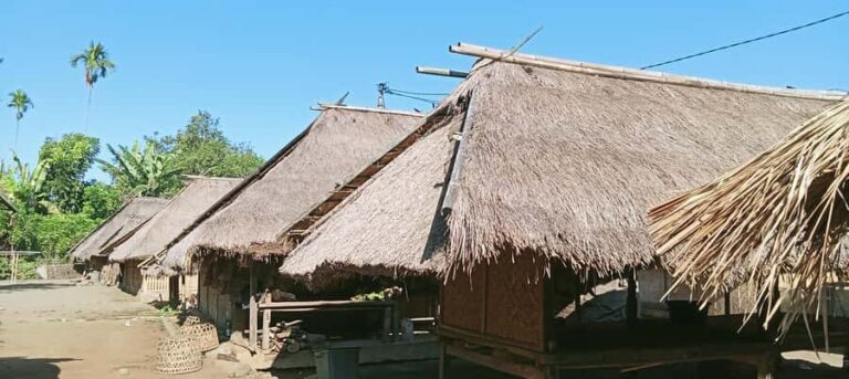 Lombok: Gili Meno Snorkeling, Waterfalls and Village Tours - The Sum Up