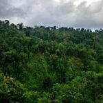 Lombok Hidden Gem: Tiu Sekeper  Lomboks Highest Waterfall - In-Depth Breakdown of the Tour