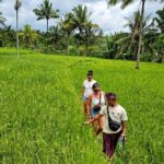 Lombok Hidden Waterfalls Walk, Rice Fields & Weaving Village - Who Should Consider This Tour?