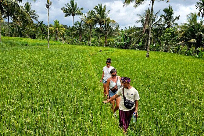 Lombok Hidden Waterfalls Walk, Rice Fields & Weaving Village - Who Should Consider This Tour?