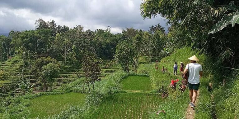 Lombok: Hiking Tour to Tete Batu Village - Who Would Love This Tour?