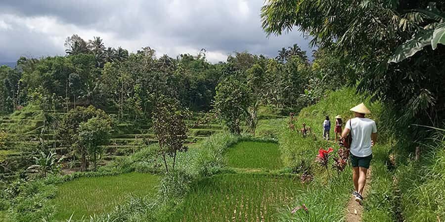 Lombok: Hiking Tour to Tete Batu Village - Who Would Love This Tour?