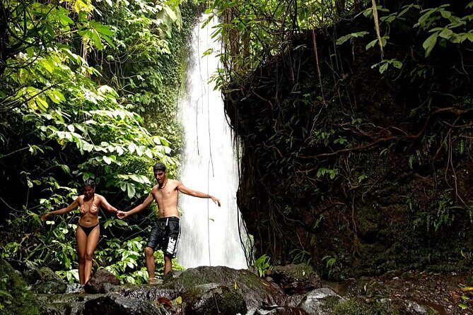 Lombok Private Car Hire with Driver Customizable Tour - Who is this tour best suited for?