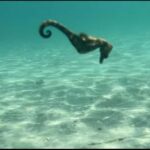 Lombok: Private day trip snorkeling in Secret Island - The Itinerary: Step-by-Step