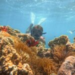 Lombok: Private Pink Beach & Gili Snorkeling Tour with GoPro - The Authenticity & Value of the Tour