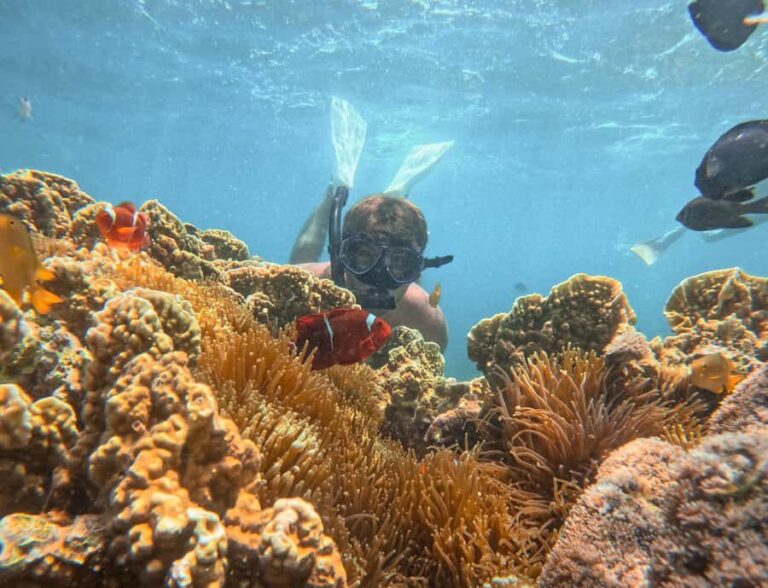 Lombok: Private Pink Beach & Gili Snorkeling Tour with GoPro - The Authenticity & Value of the Tour