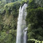 Lombok: Rice Field Terrace & Senaru Waterfalls Guided Tour - In-Depth Overview of the Experience