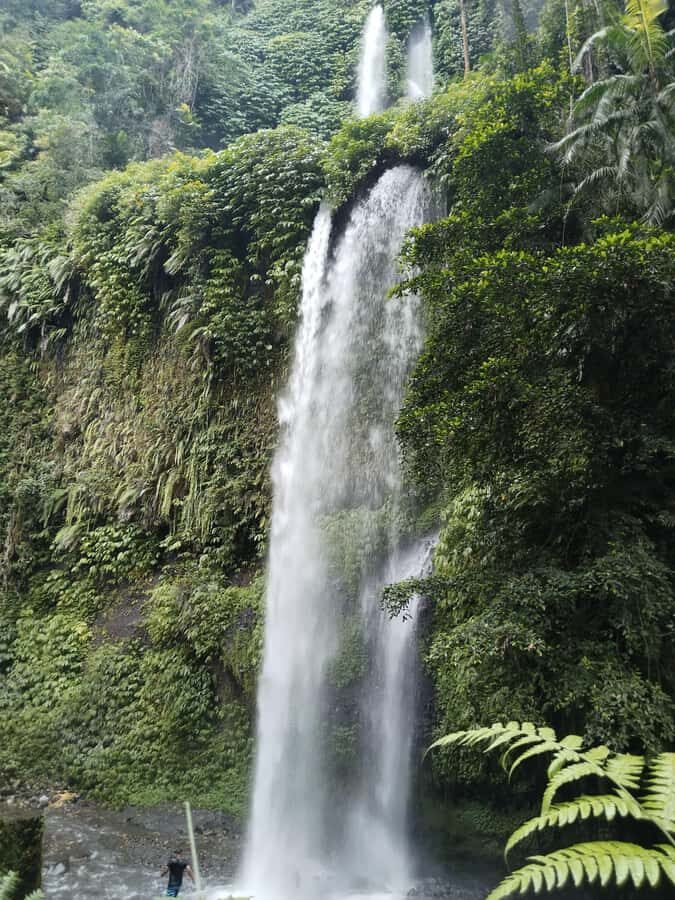 Lombok: Rice Field Terrace & Senaru Waterfalls Guided Tour - In-Depth Overview of the Experience