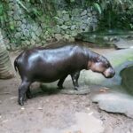 Lombok Safari Wildlife Park, Village and Waterfalls tour - An In-Depth Look at the Tour Experience