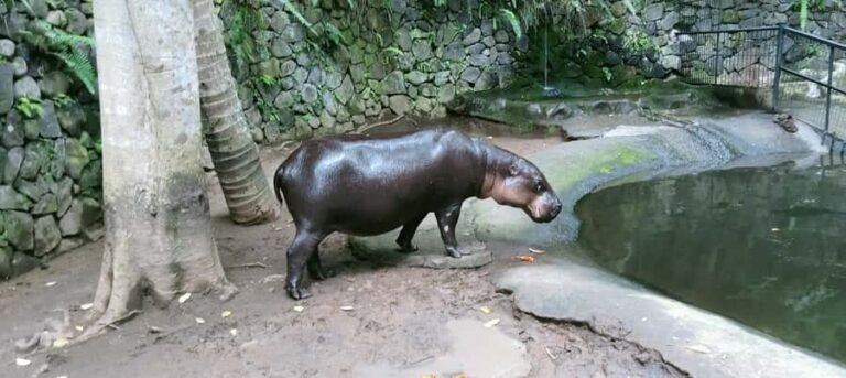 Lombok Safari Wildlife Park, Village and Waterfalls tour - An In-Depth Look at the Tour Experience
