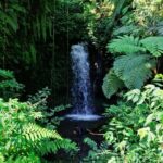 Lombok: Sekeper Waterfall  Hidden Gem & Highest Waterfall - Who Should Consider This Tour?