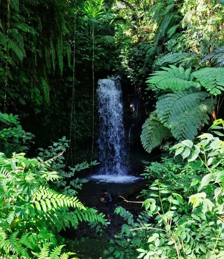 Lombok: Sekeper Waterfall  Hidden Gem & Highest Waterfall - Who Should Consider This Tour?