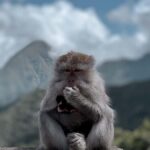 Lombok : Sembalun Crater & Hidden Waterfall - What Makes This Tour Special?