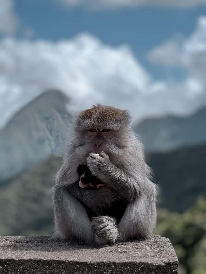 Lombok : Sembalun Crater & Hidden Waterfall - What Makes This Tour Special?