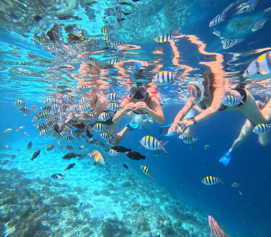 Lombok: Snorkeling & Island Hopping to The Southwest Gilis - What to Expect from This Tour