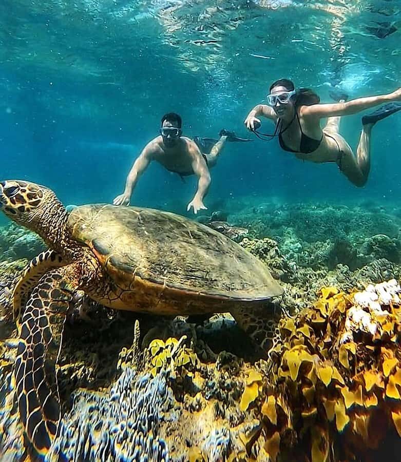 Lombok Snorkeling to Gili Nanggu, Tangkong, Sudak and Kedis - Who This Tour Is Best For