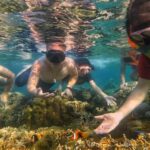 Lombok: Snorkeling Trip Secret Gilis Layar, Rengit & Gede - Who Will Love This Experience?