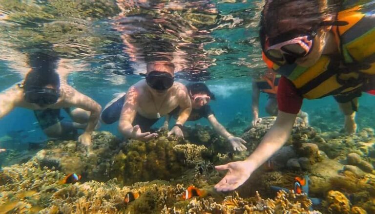 Lombok: Snorkeling Trip Secret Gilis Layar, Rengit & Gede - Who Will Love This Experience?
