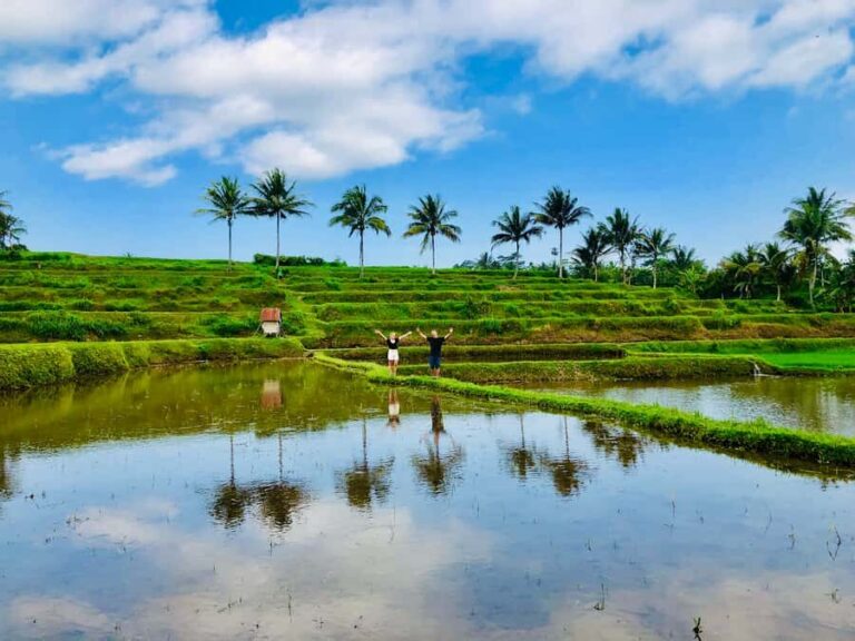 Lombok Solo Group Adventure: Jungle Trek & Waterfalls - What’s Included & Practical Tips