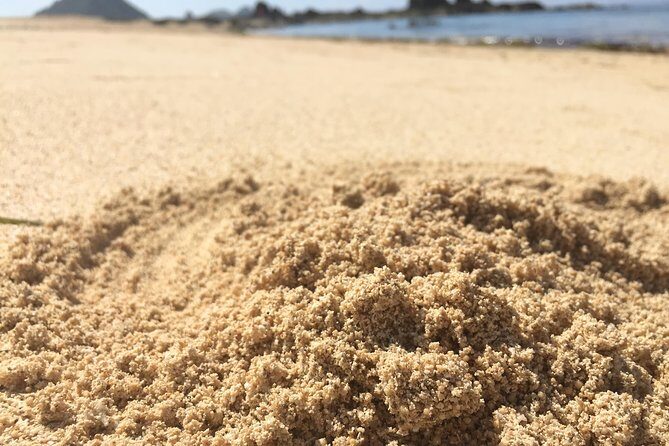 Lombok South Beach and Traditional Village Tour - Transportation and Comfort