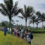 Lombok: Tetebatu Village and Rice Fields Guided Tour - The Real Value of this Tour