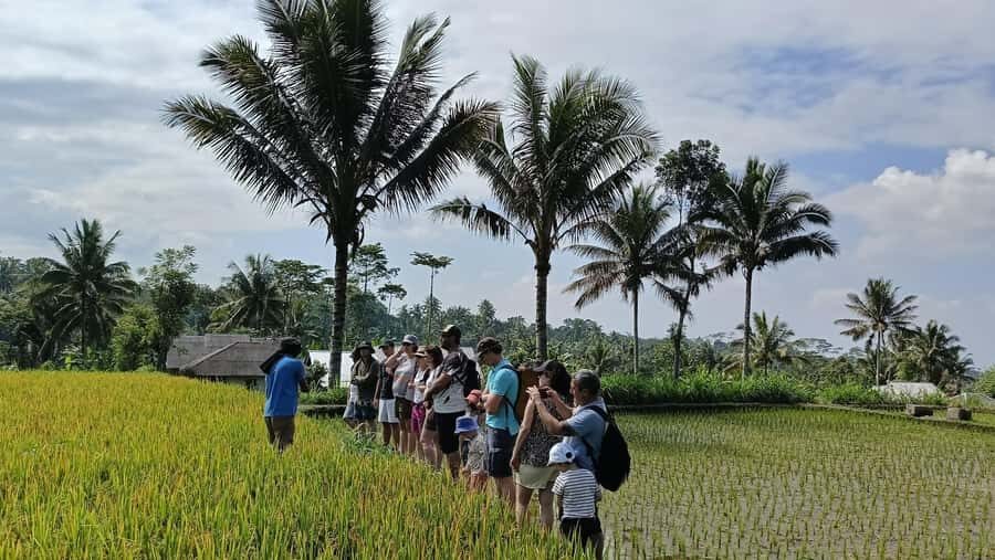 Lombok: Tetebatu Village and Rice Fields Guided Tour - The Real Value of this Tour