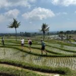 Lombok Waterfalls & Bukit Selong Private Tour - Returning With Memories and Flexibility