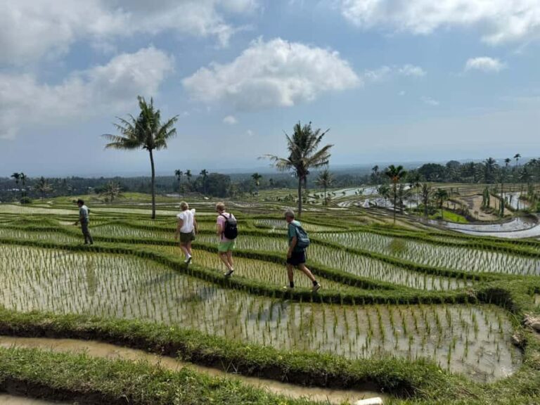 Lombok Waterfalls & Bukit Selong Private Tour - Returning With Memories and Flexibility