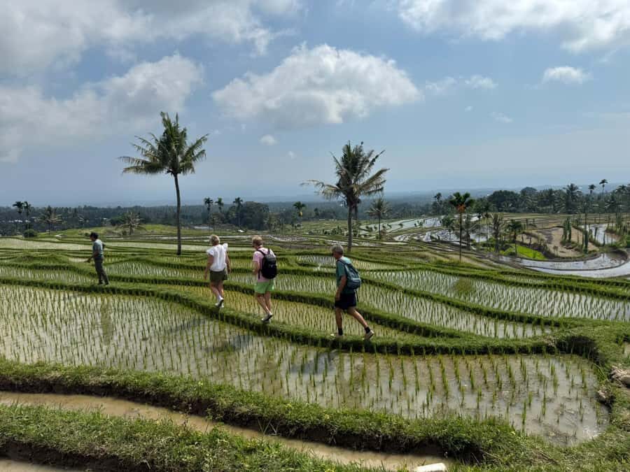 Lombok Waterfalls & Bukit Selong Private Tour - Returning With Memories and Flexibility