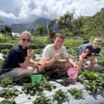 Lombok: Waterfalls, Strawberry Harvest, and Hike Tour - Detailed Breakdown of the Itinerary