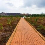Long Tan Battlefield And Long Phuoc Tunnels Tour - What Makes This Tour Stand Out