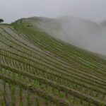 Longji Dazhai Rice Terraces Day Tour Cable Car Adventure - FAQs