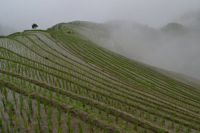Longji Dazhai Rice Terraces Day Tour Cable Car Adventure - FAQs