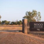 Longreach: The best way to experience outback station life - Exploring Longreach’s Outback Station Life in Detail