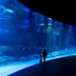 Lotte World Aquarium Hanoi Admission Ticket - Who Would Love This Experience?