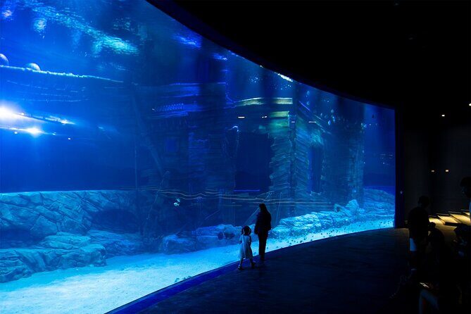 Lotte World Aquarium Hanoi Admission Ticket - Who Would Love This Experience?