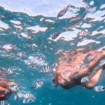 Lovina Sunrise Dolphin with option snorkeling and waterfall - Making the Most of Your Tour