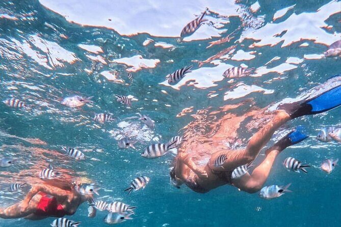 Lovina Sunrise Dolphin with option snorkeling and waterfall - Making the Most of Your Tour