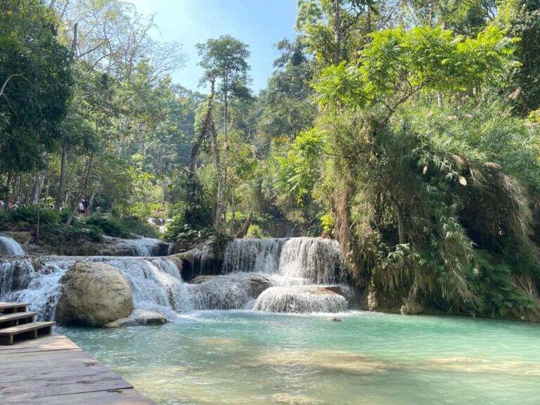 Luang Prabang: Almsgiving Ceremony and Kuang Si Falls Tour - Why This Tour Offers Great Value