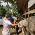 Lumajang: Untouched Nature Exploration - The Itinerary: What to Expect Day-by-Day