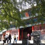 Luoyang Private Tour to Shaolin Temple including Kungfu Lesson - Hands-On Kungfu Lesson: Connecting with the Culture