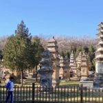 Luoyang/Zhengzhou to Shaolin temple +kongfu training tour - The Journey to Shaolin: What to Expect