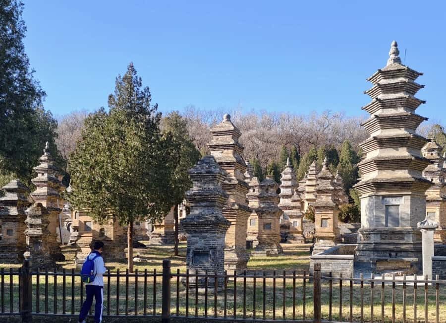 Luoyang/Zhengzhou to Shaolin temple +kongfu training tour - The Journey to Shaolin: What to Expect