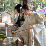 Luxury Classic Kyoto Day Tour - Private Customized Car Tour - What’s Included and What to Consider