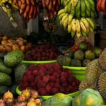 Luxury Day Trip from Colombo to Pinnawala and Kandy Highlights - Final Words