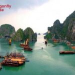 Luxury Halong Bay Day Tour with Expressway Transfer - FAQ