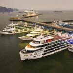 Luxury Luna Cruise Ha Long Bay Premium from Hanoi - What Sets This Cruise Apart?